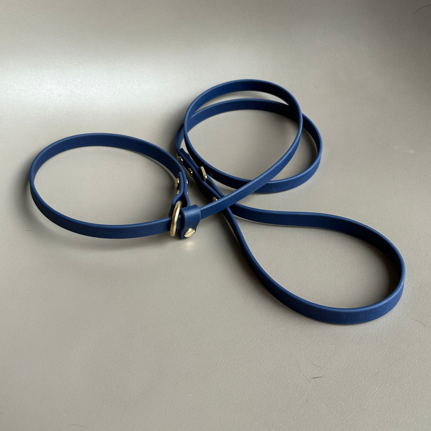 BioThane® 12mm Slip Lead