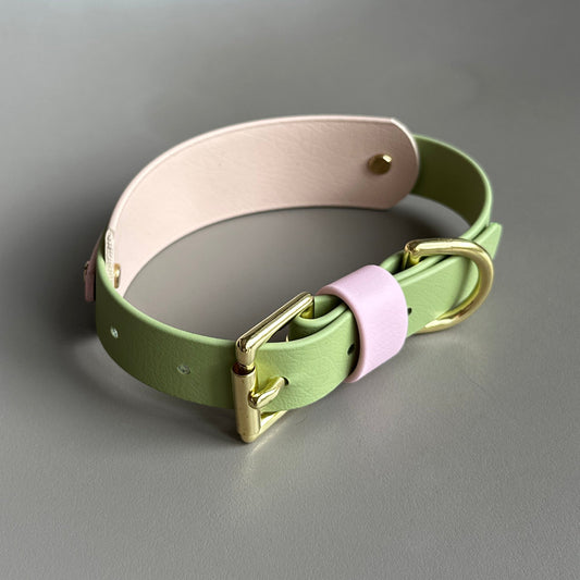 Strawberry Matcha BioThane® Hound Style Collar