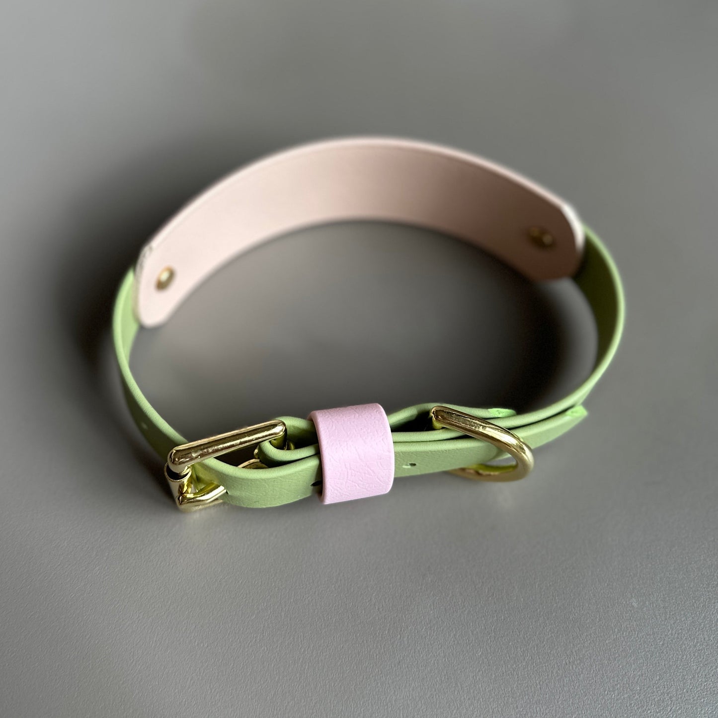 Strawberry Matcha BioThane® Hound Style Collar