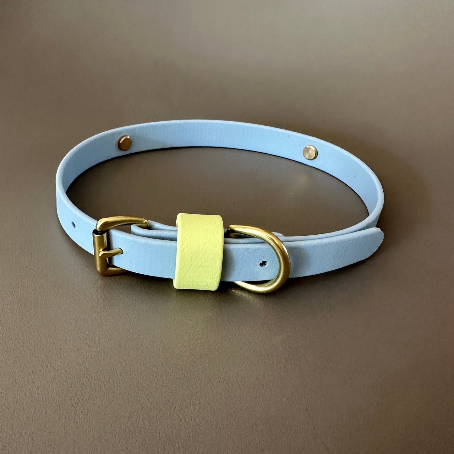 Dumpling Colourband BioThane® Collar