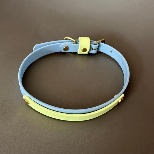 Dumpling Colourband BioThane® Collar