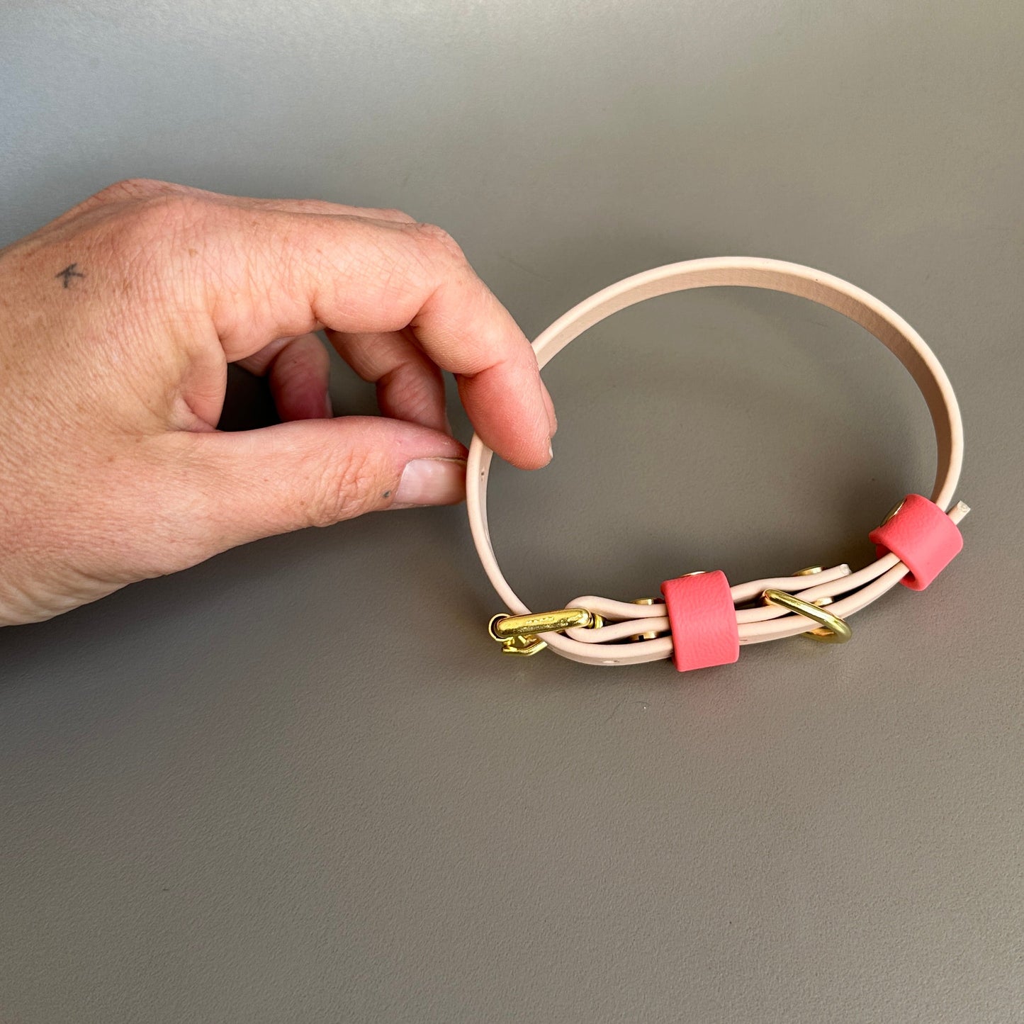 BioThane® 12mm Skinny Collar