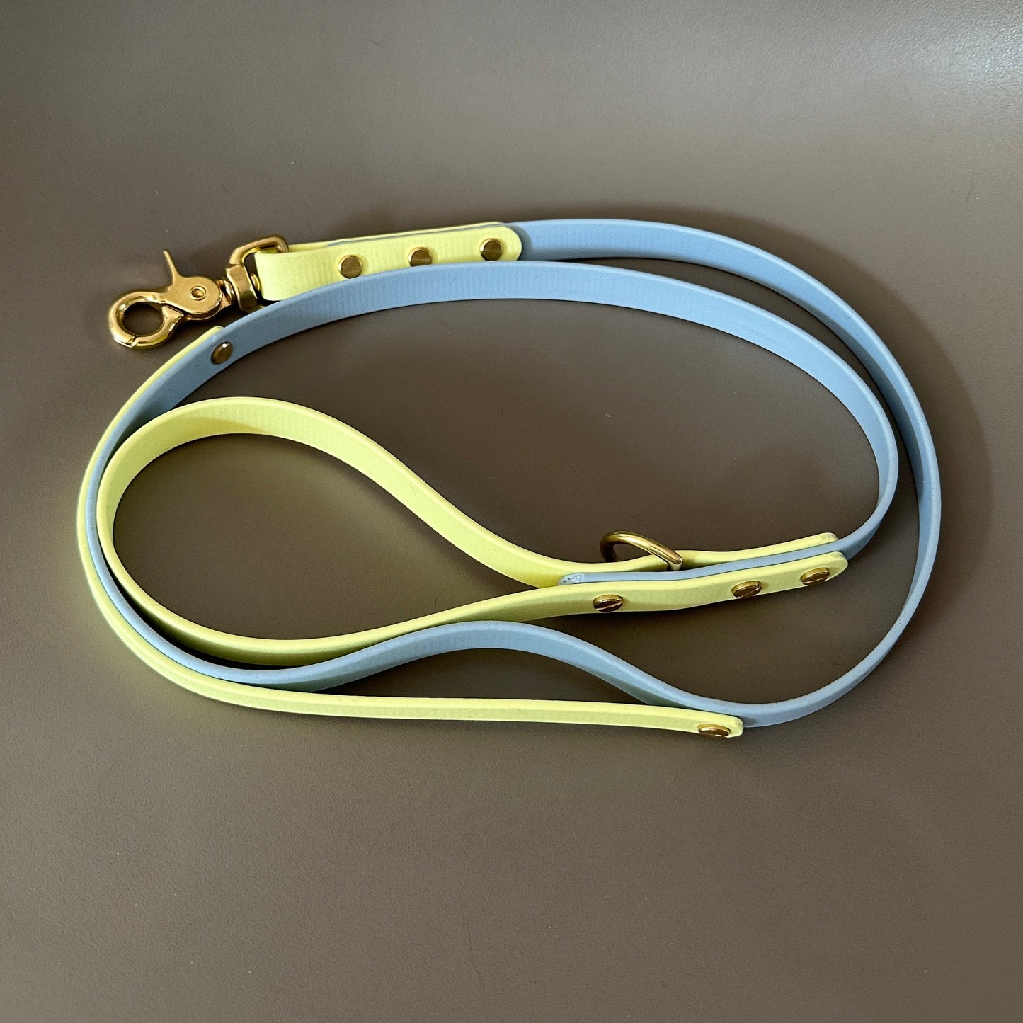 Dumpling Colourband Control BioThane® Lead