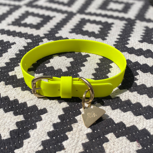 Neon Yellow BioThane® Collar