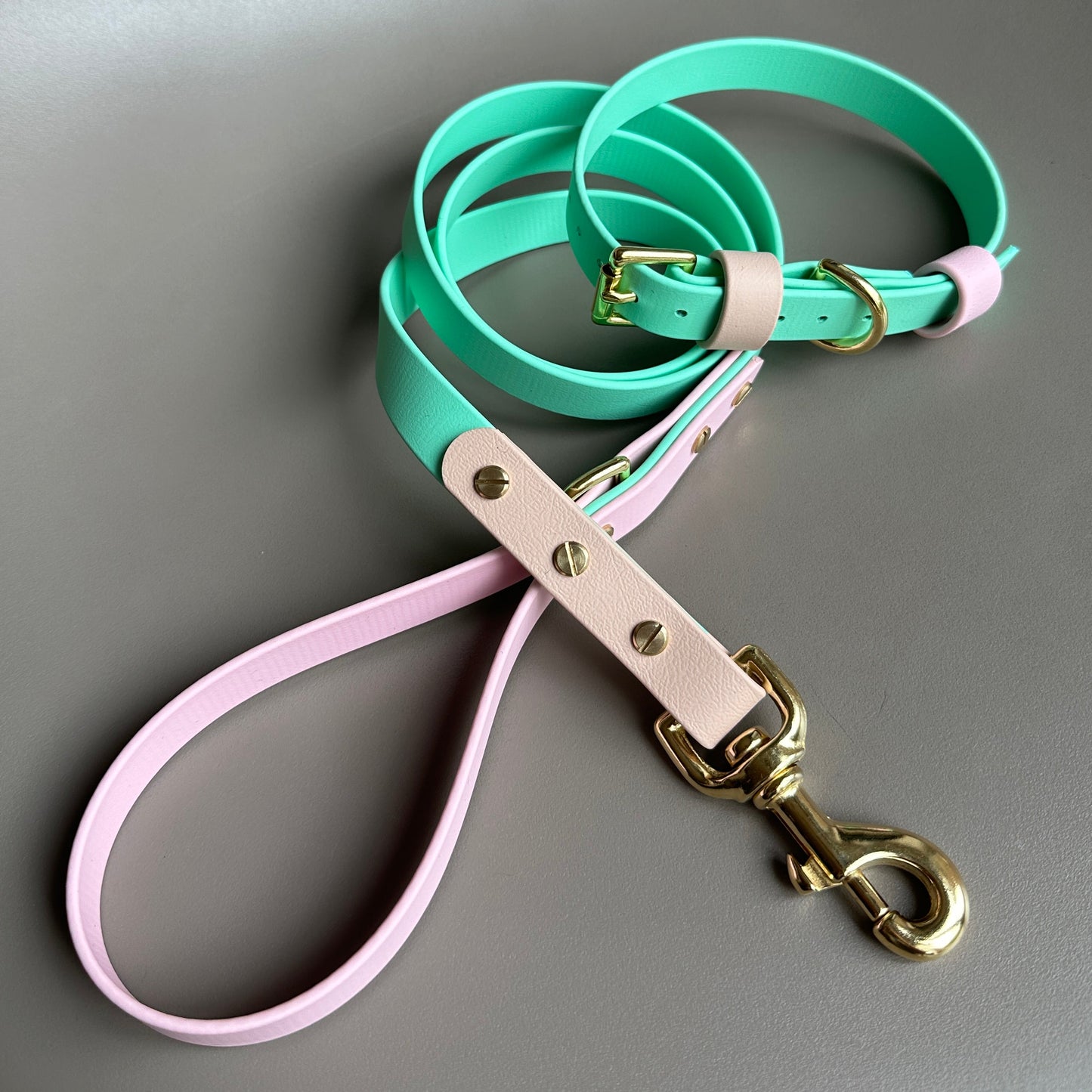 Blondie Colourblock BioThane® Collar
