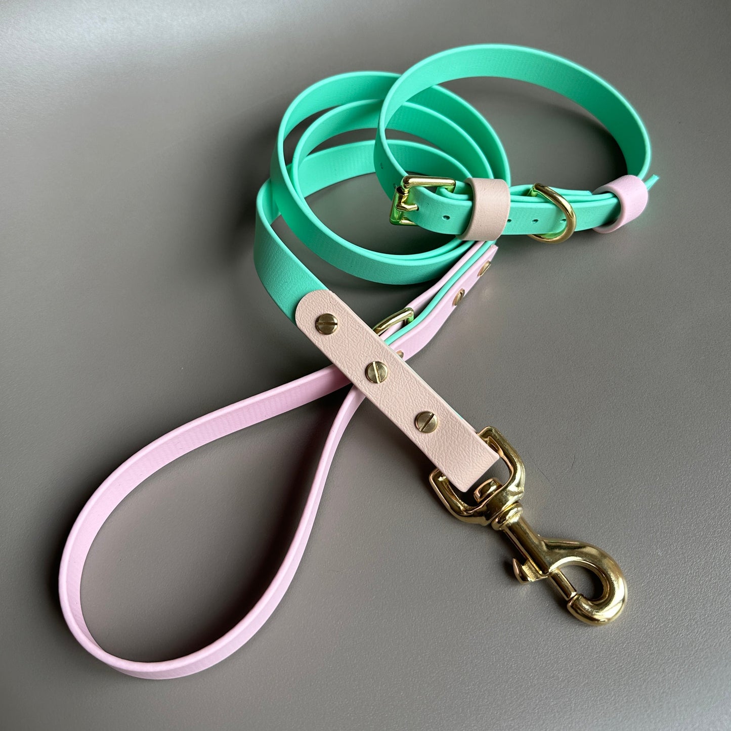 Blondie Colourblock BioThane® Lead