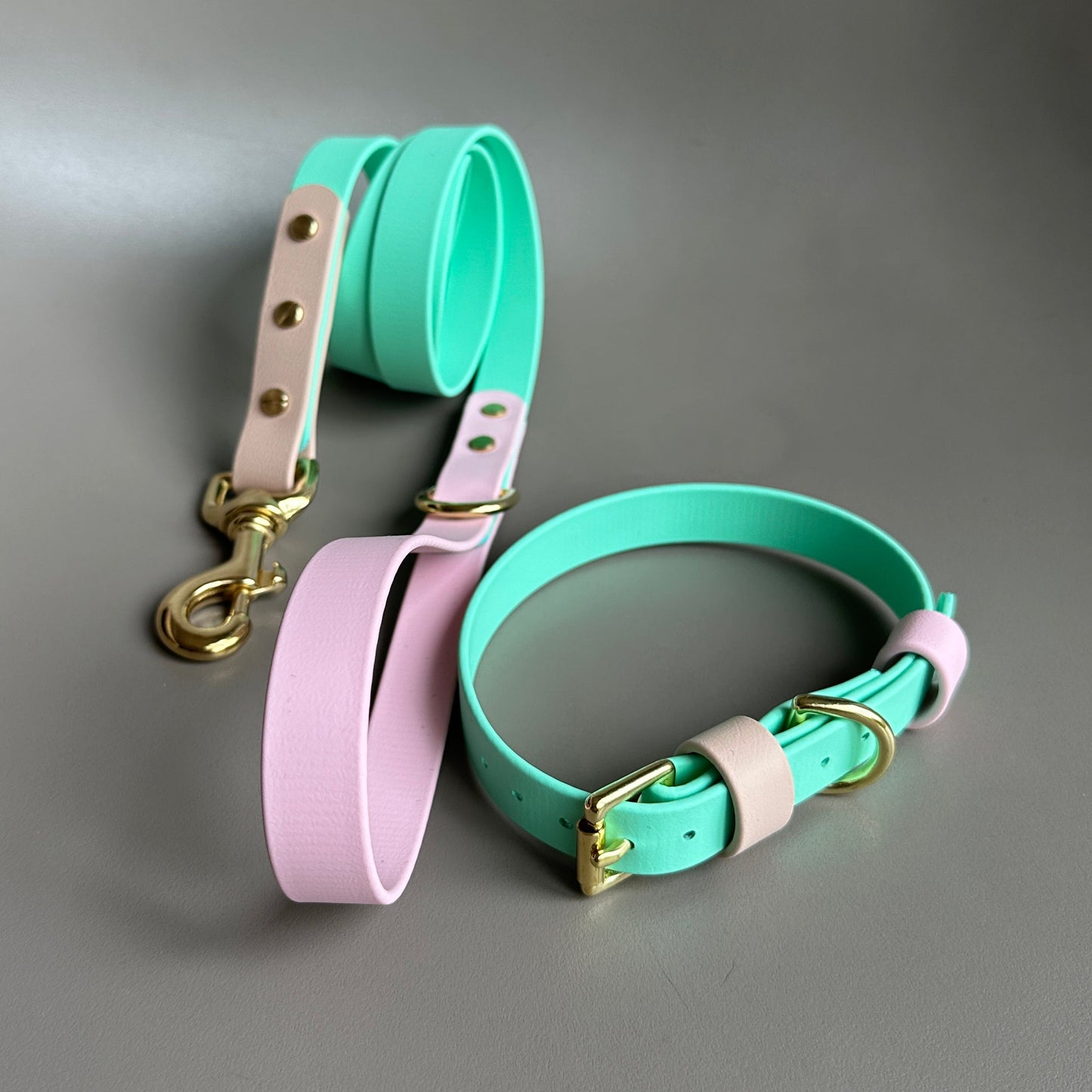 Blondie Colourblock BioThane® Collar