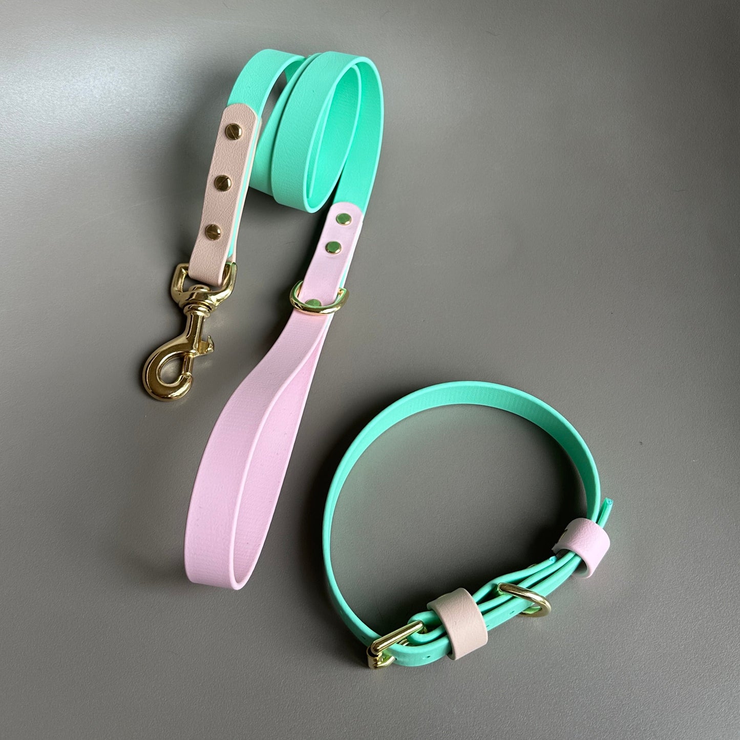 Blondie Colourblock BioThane® Lead