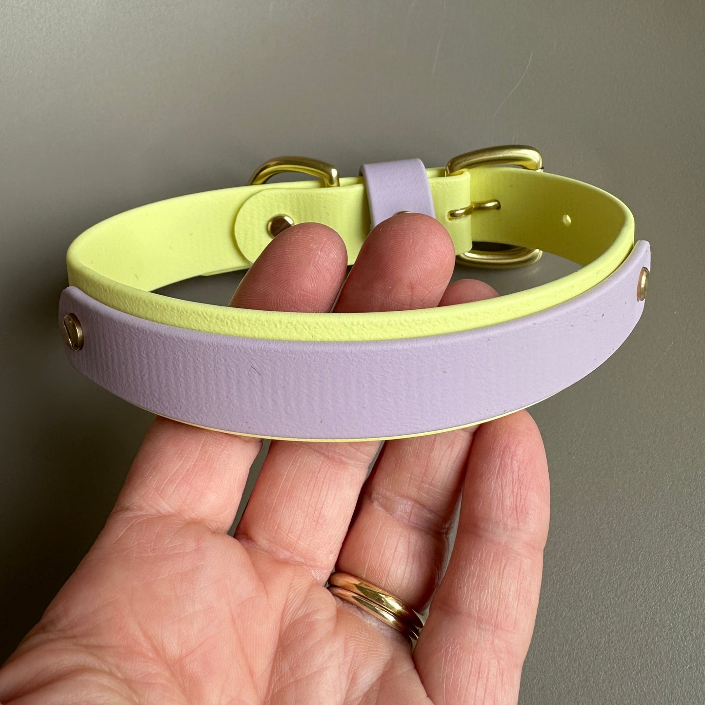 Aster Colourband BioThane® Collar