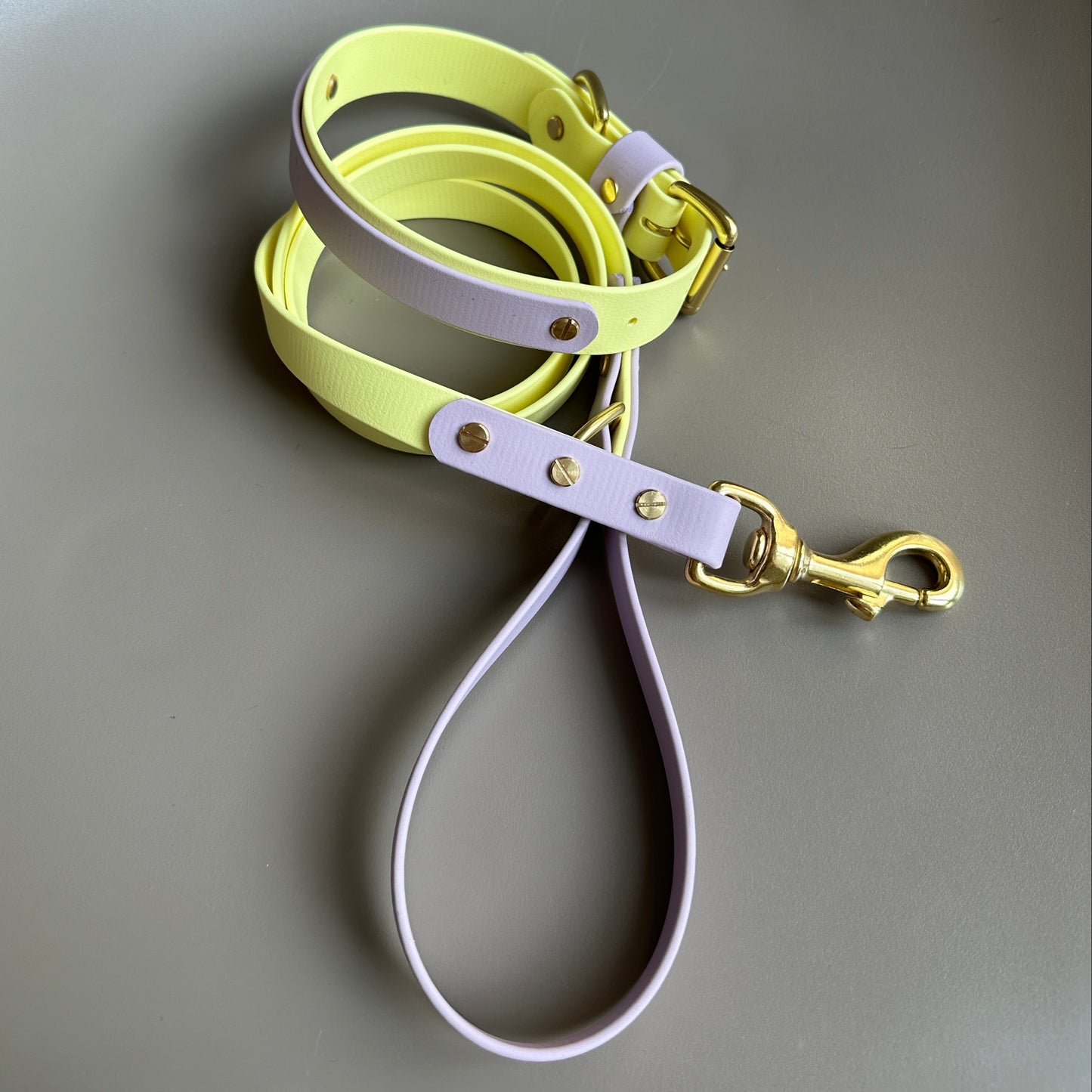 Aster Colourband BioThane® Collar