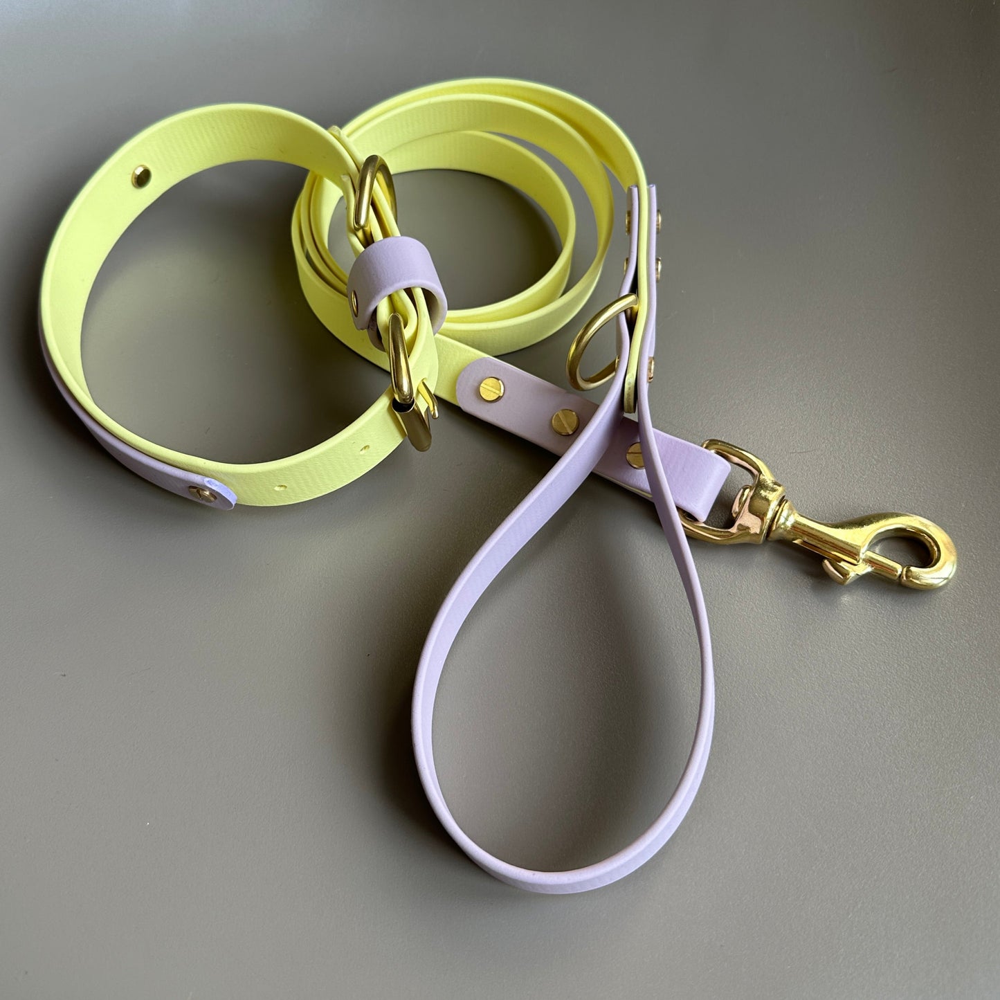 Aster Colourband BioThane® Collar