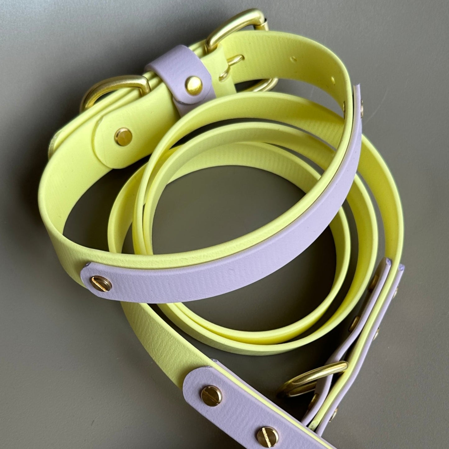 Aster Colourband BioThane® Collar