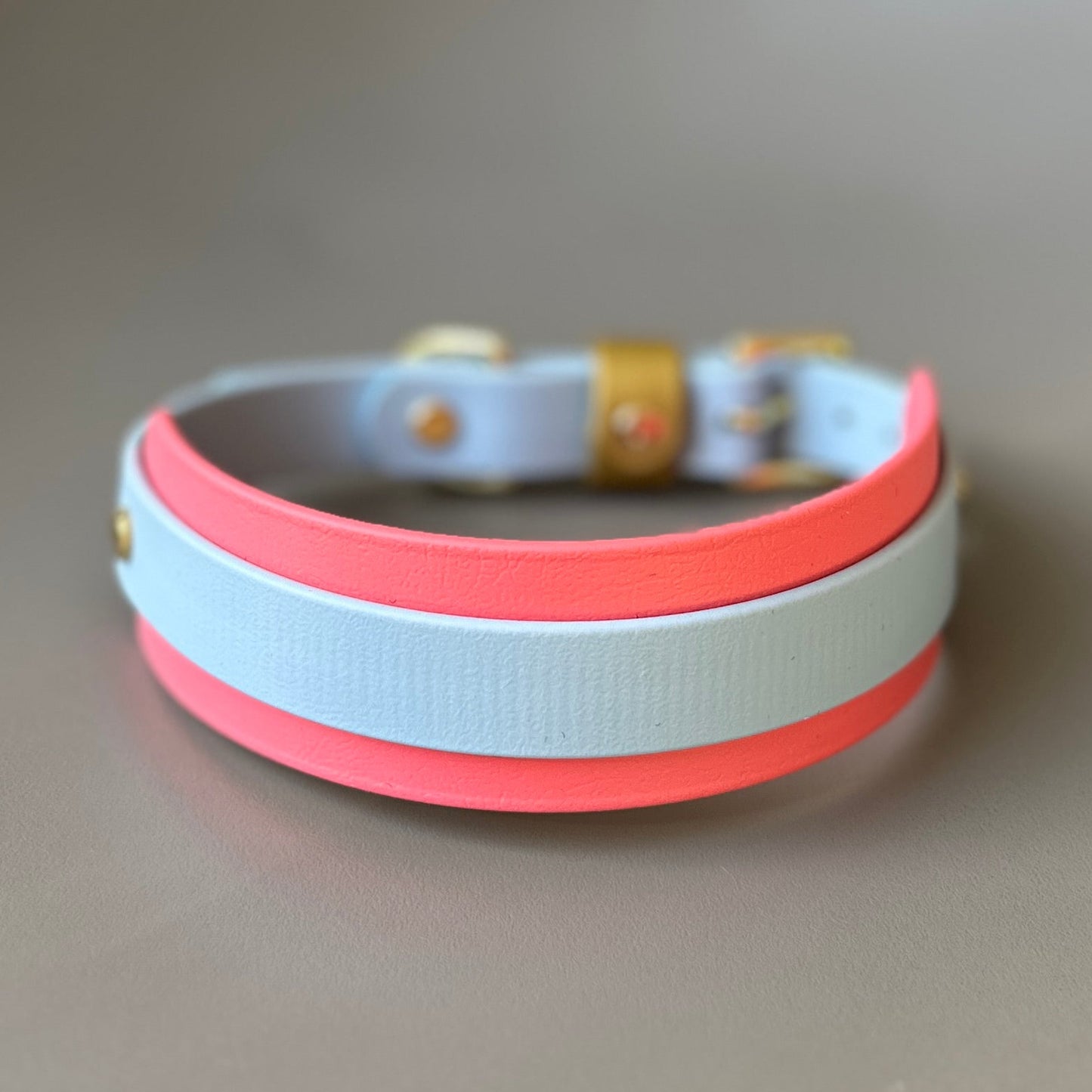 Calypso BioThane® Hound Style Collar