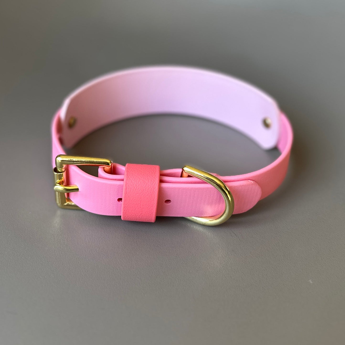 The Pinks BioThane® Hound Style Collar