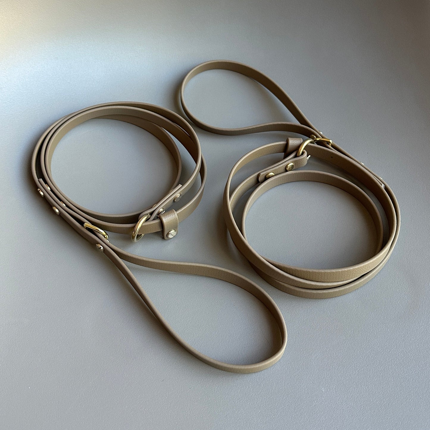 BioThane® 12mm Slip Lead