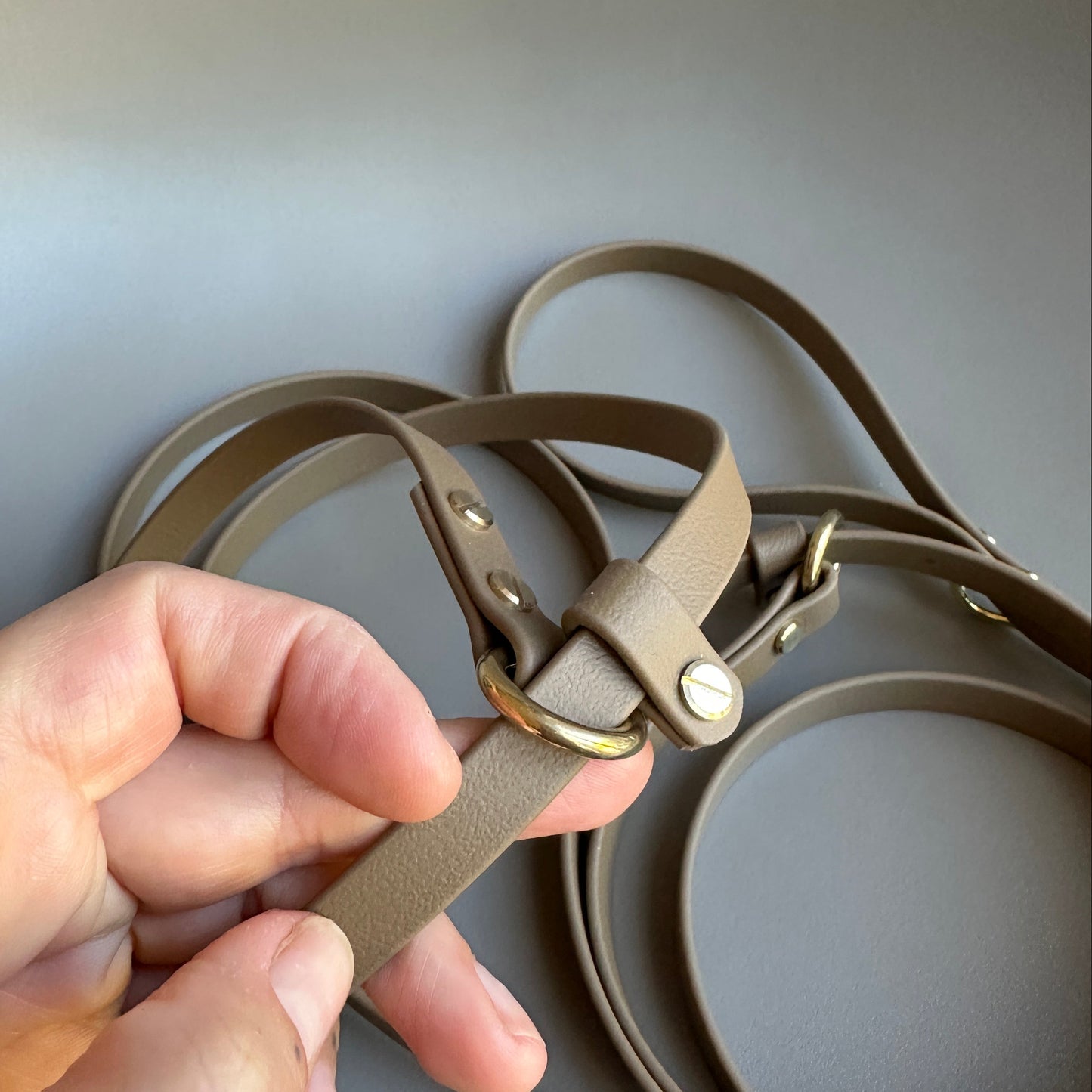 BioThane® 12mm Slip Lead