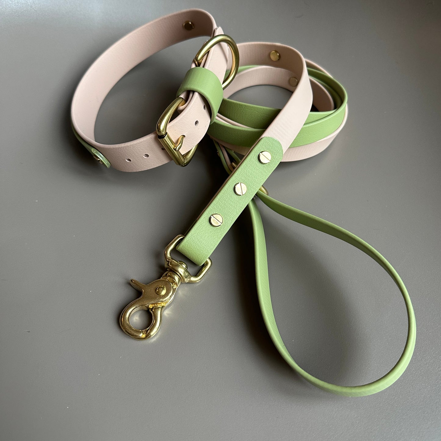 Tecuci Colourband Control BioThane® Lead