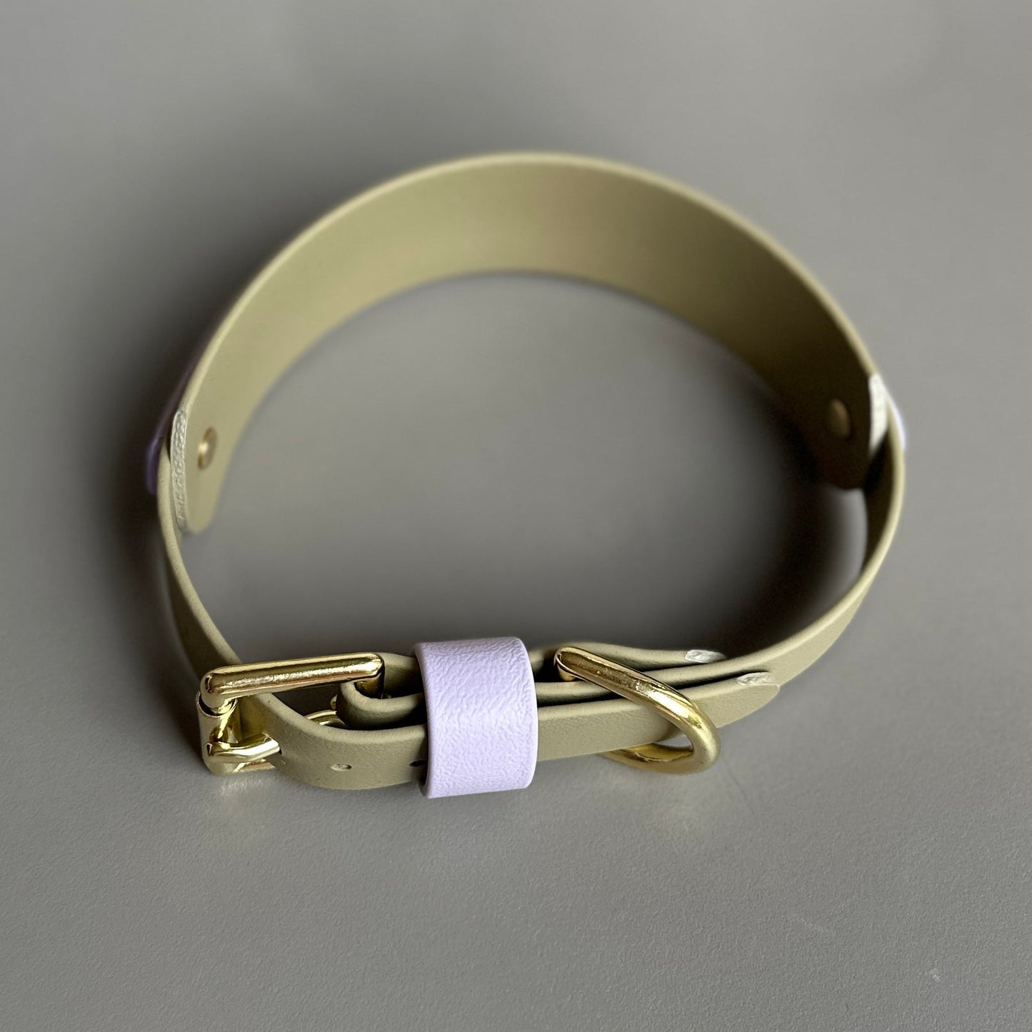 Juno BioThane® Hound Style Collar