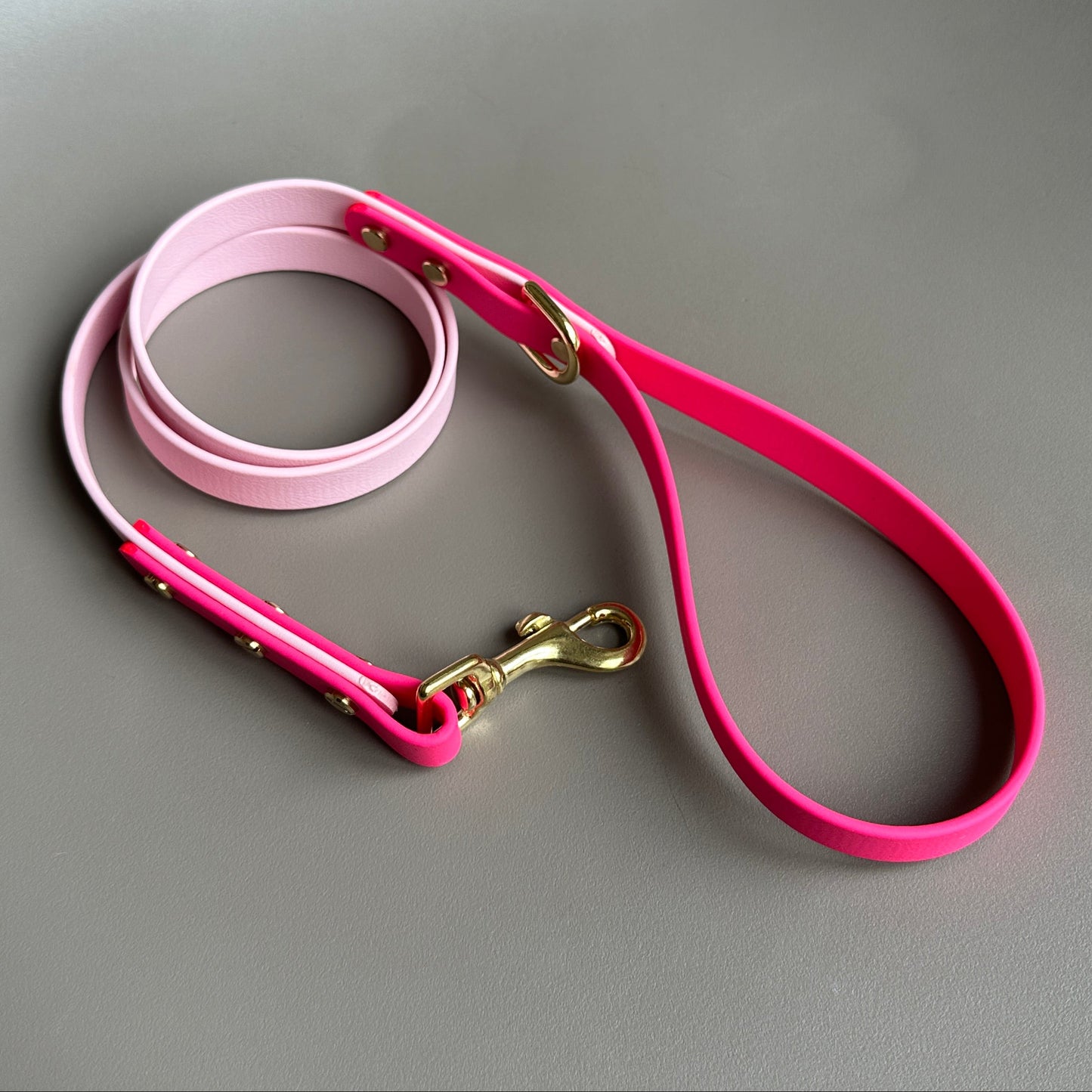 Edie Colourblock BioThane® Lead