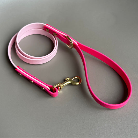 Edie Colourblock BioThane® Lead