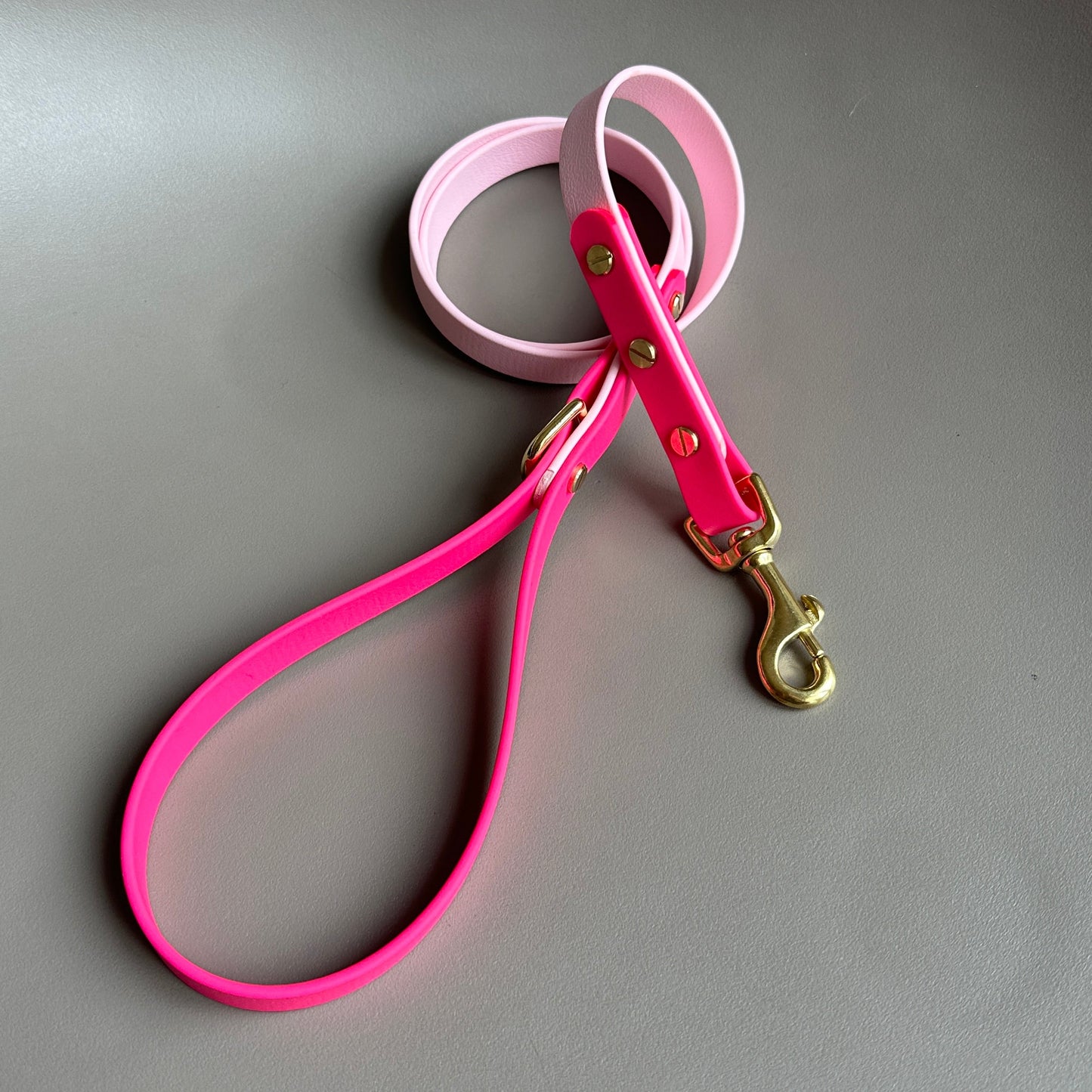 Edie Colourblock BioThane® Lead