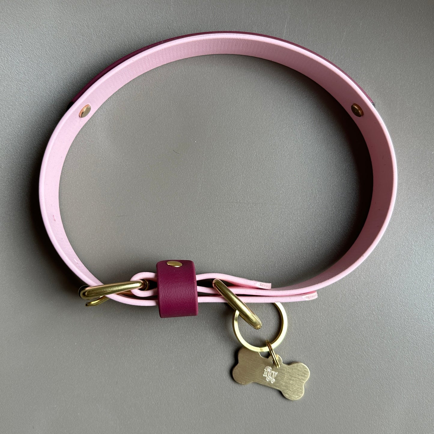 Mellie Berry Colourband BioThane® Collar