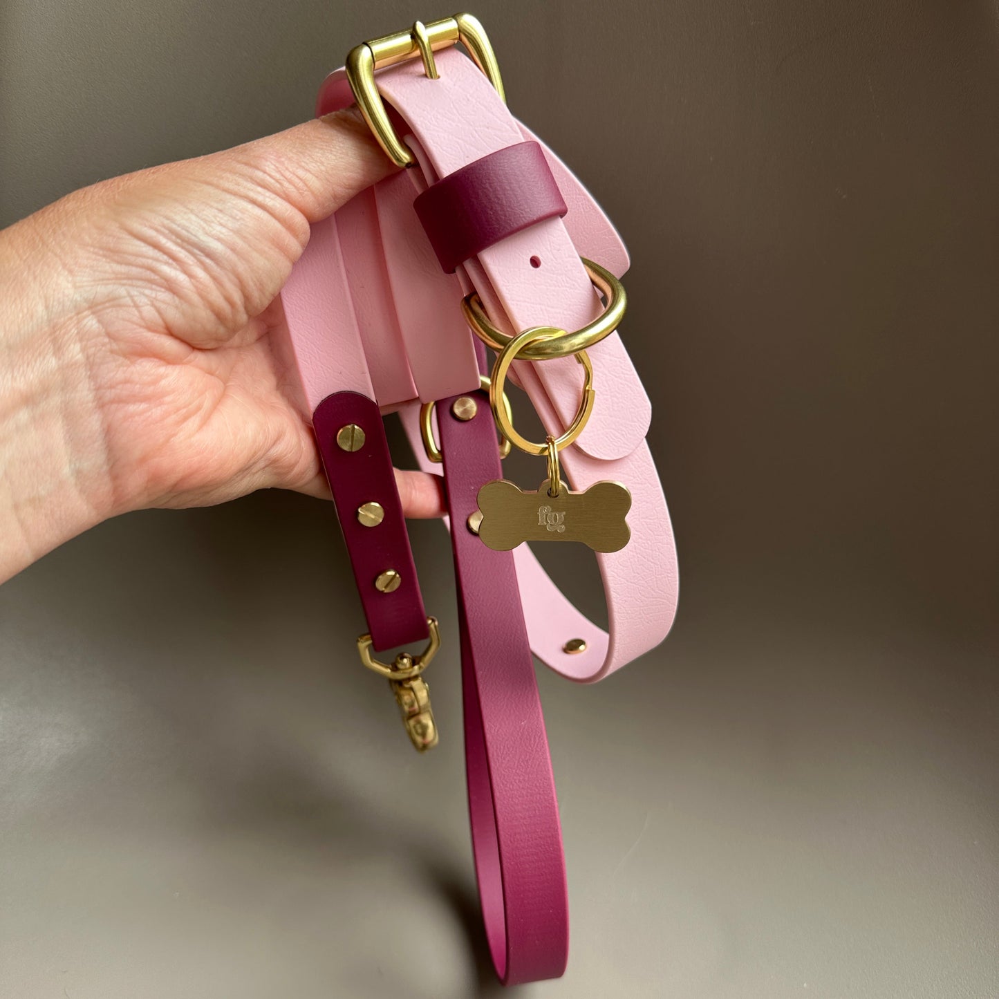 Mellie Berry Colourband BioThane® Collar