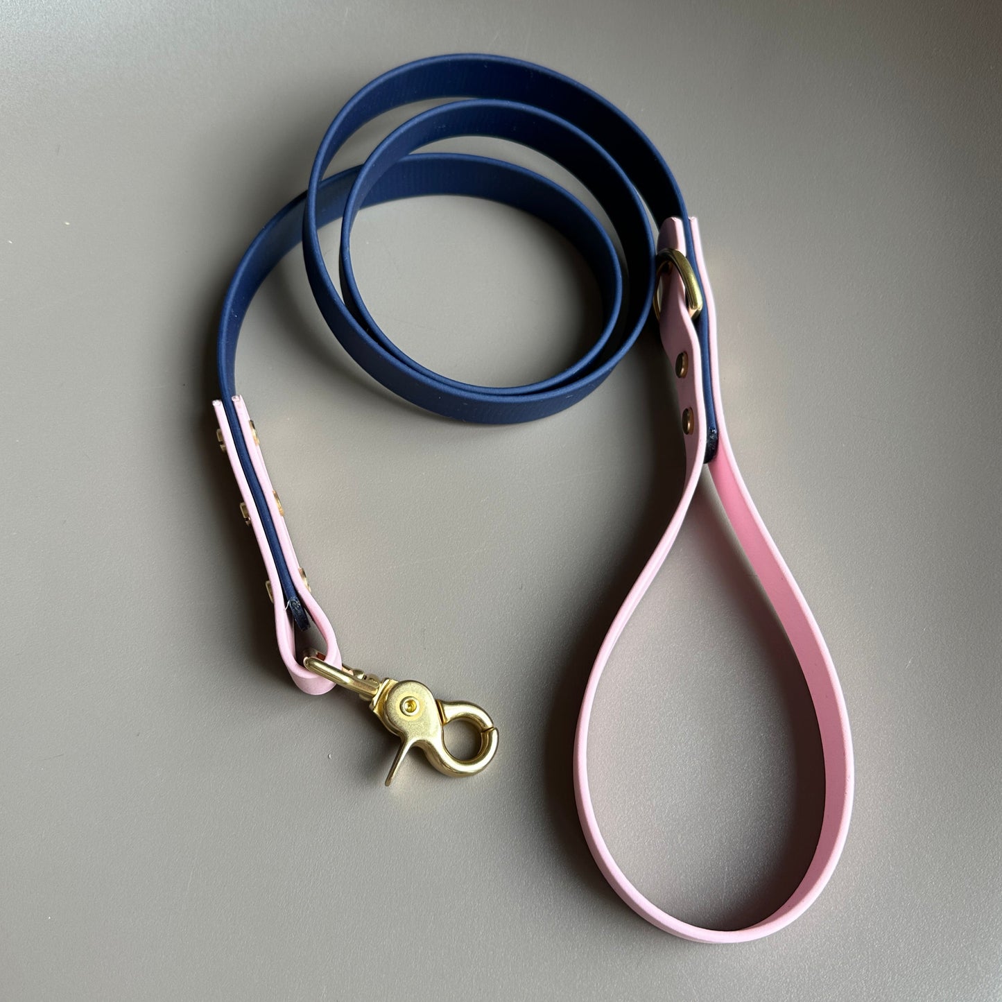 Bonnie Colourblock BioThane® Lead