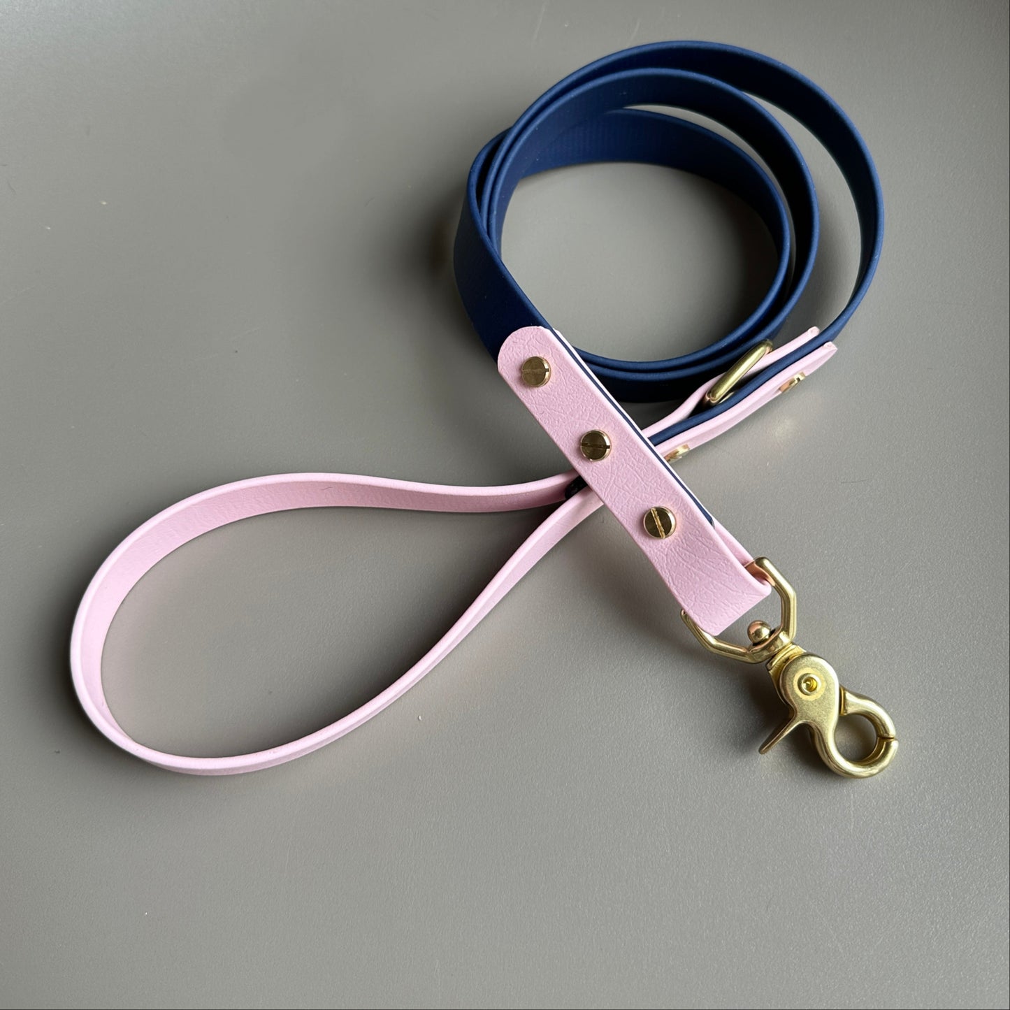 Bonnie Colourblock BioThane® Lead
