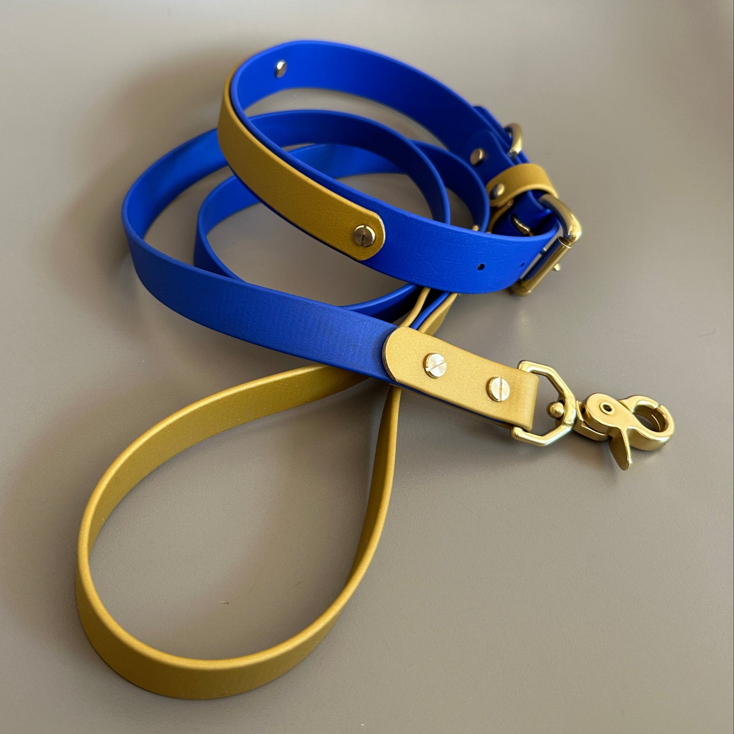 He's Electric Colourband BioThane® Collar