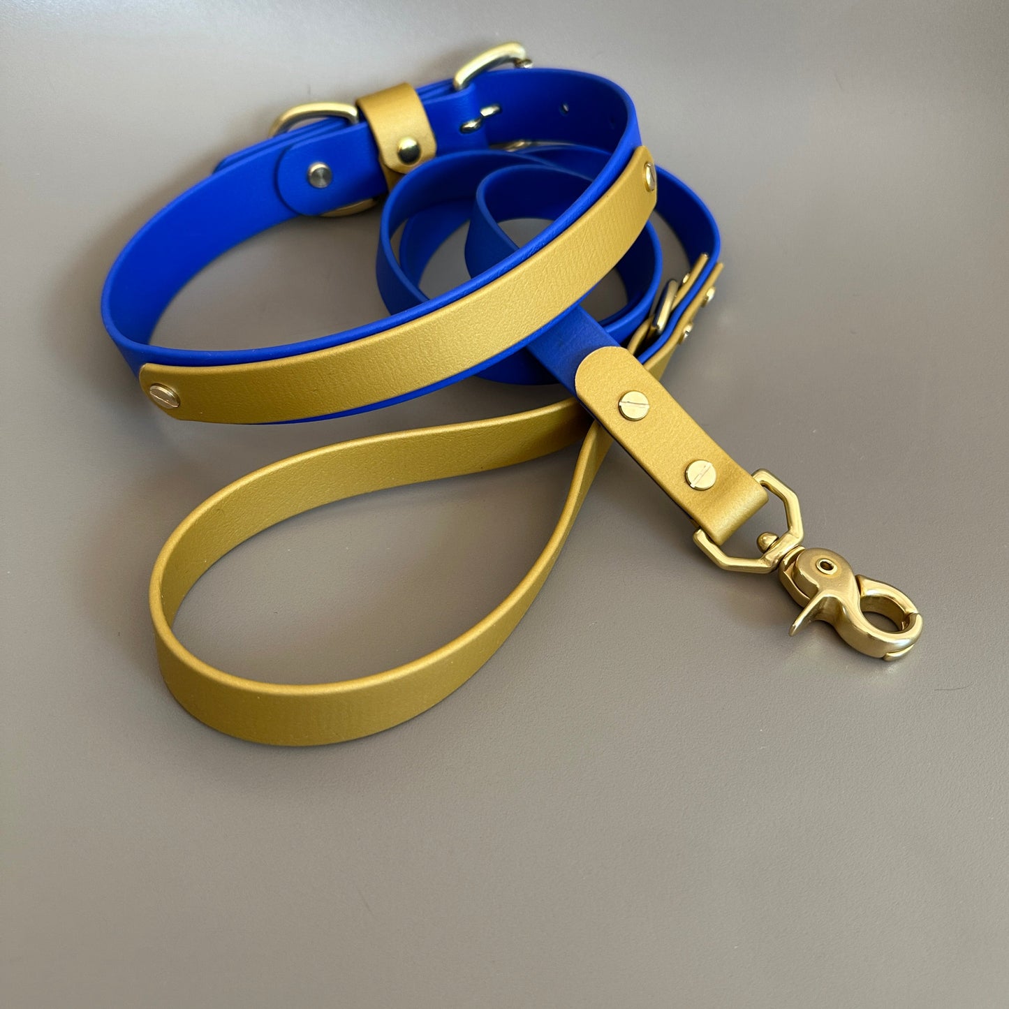 He's Electric Colourband BioThane® Collar