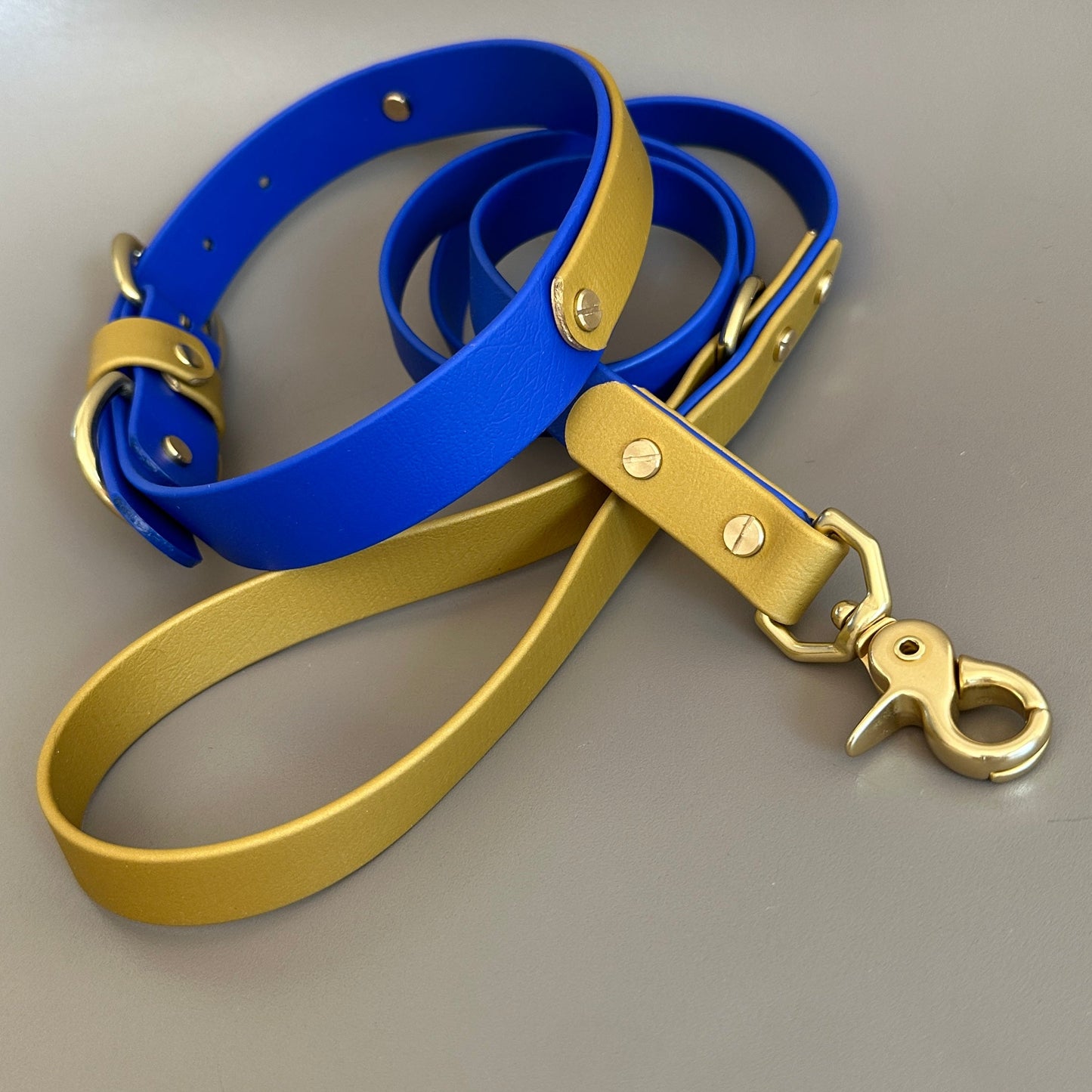 He's Electric Colourband BioThane® Collar
