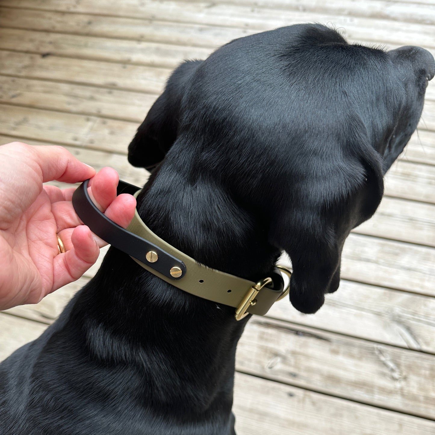 BioThane® Grab Handle Collar
