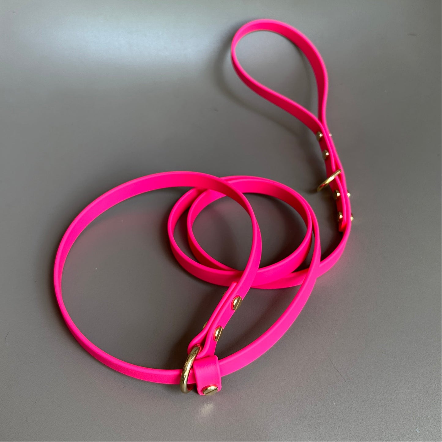 BioThane® 12mm Slip Lead