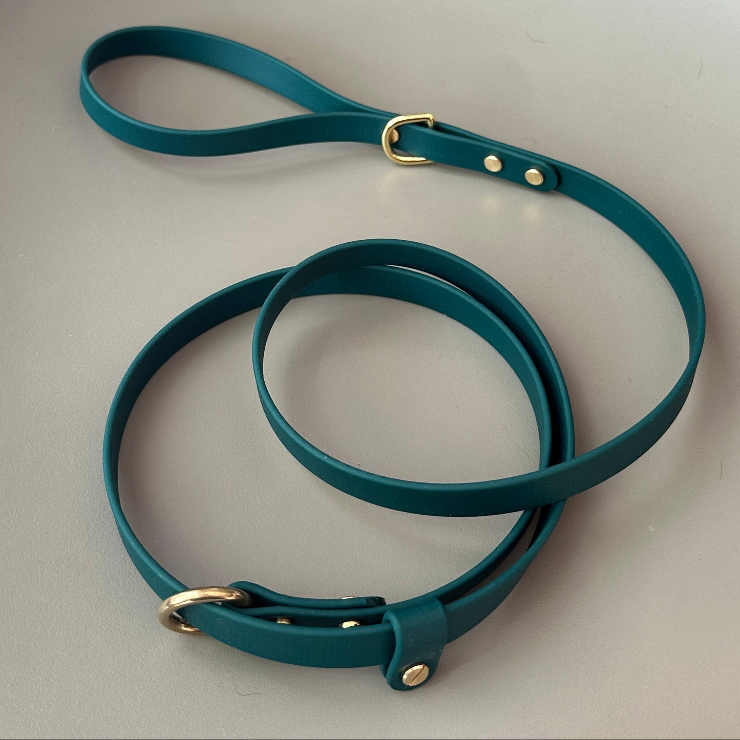 BioThane® 16mm Slip Lead