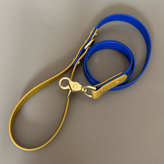 He's Electric Colourblock BioThane® Lead