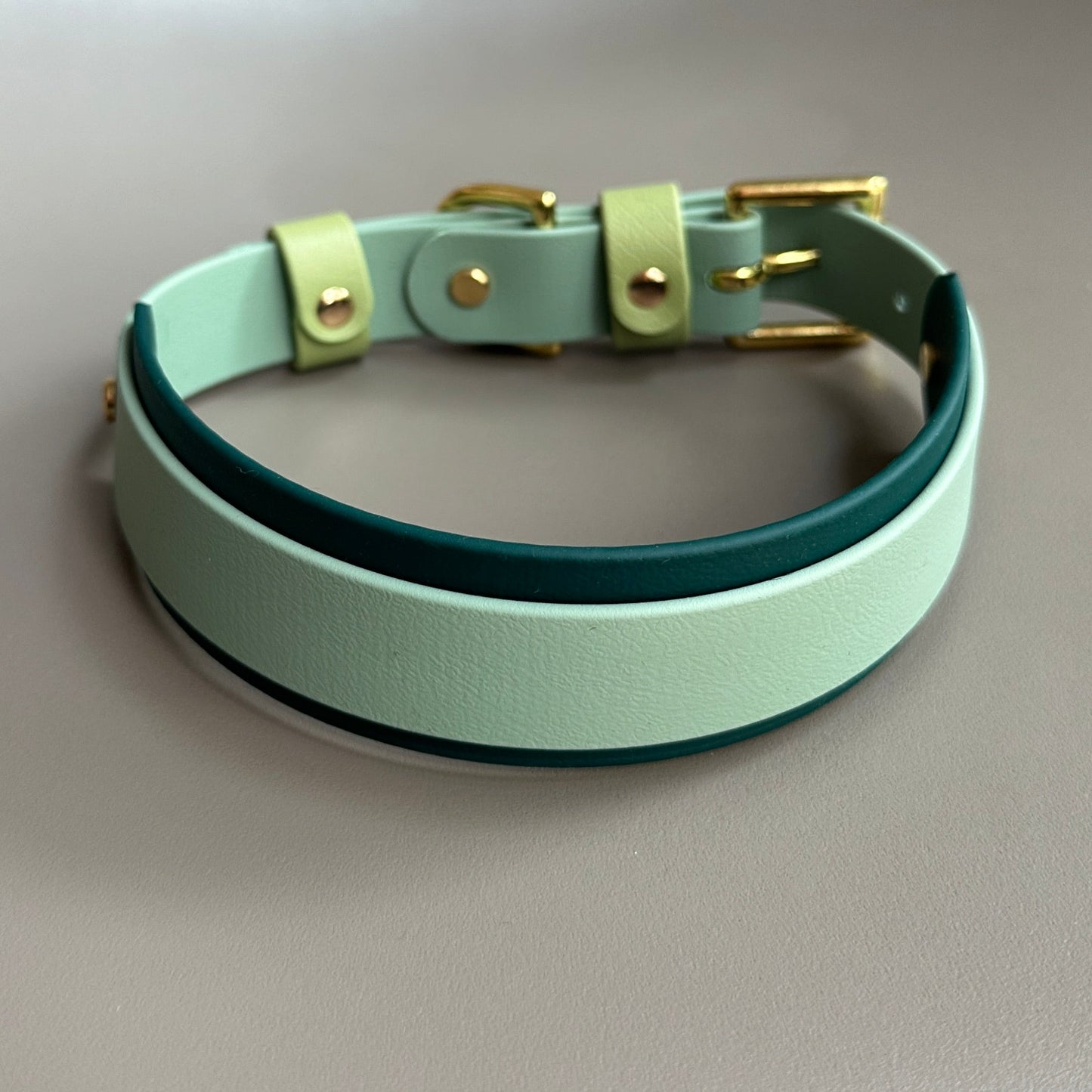 Pistachio BioThane® Hound Style Collar