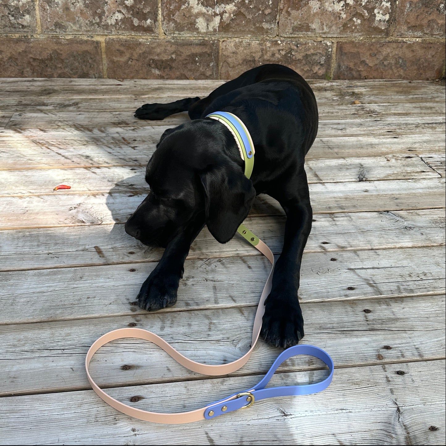 Blueberry Matcha BioThane® Hound Style Collar