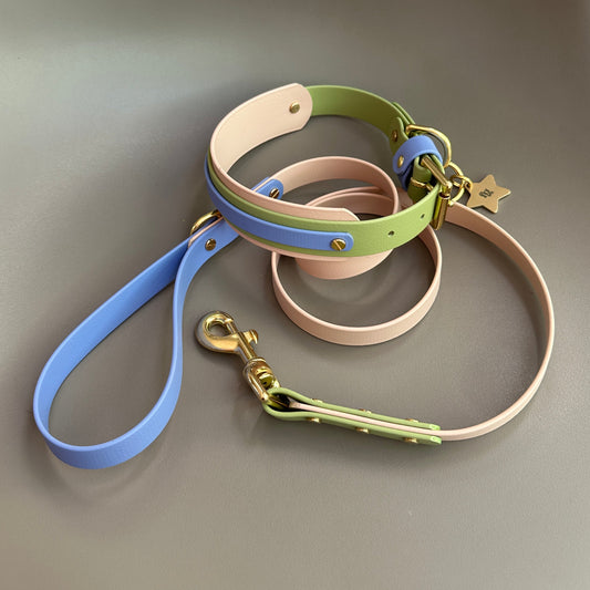 Blueberry Matcha BioThane® Hound Style Collar