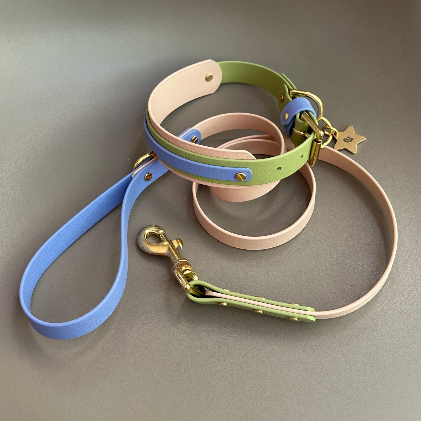 Blueberry Matcha Colourblock BioThane® Lead