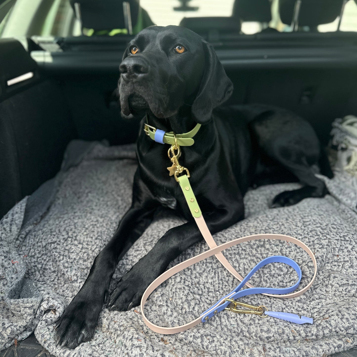 Blueberry Matcha BioThane® Hound Style Collar