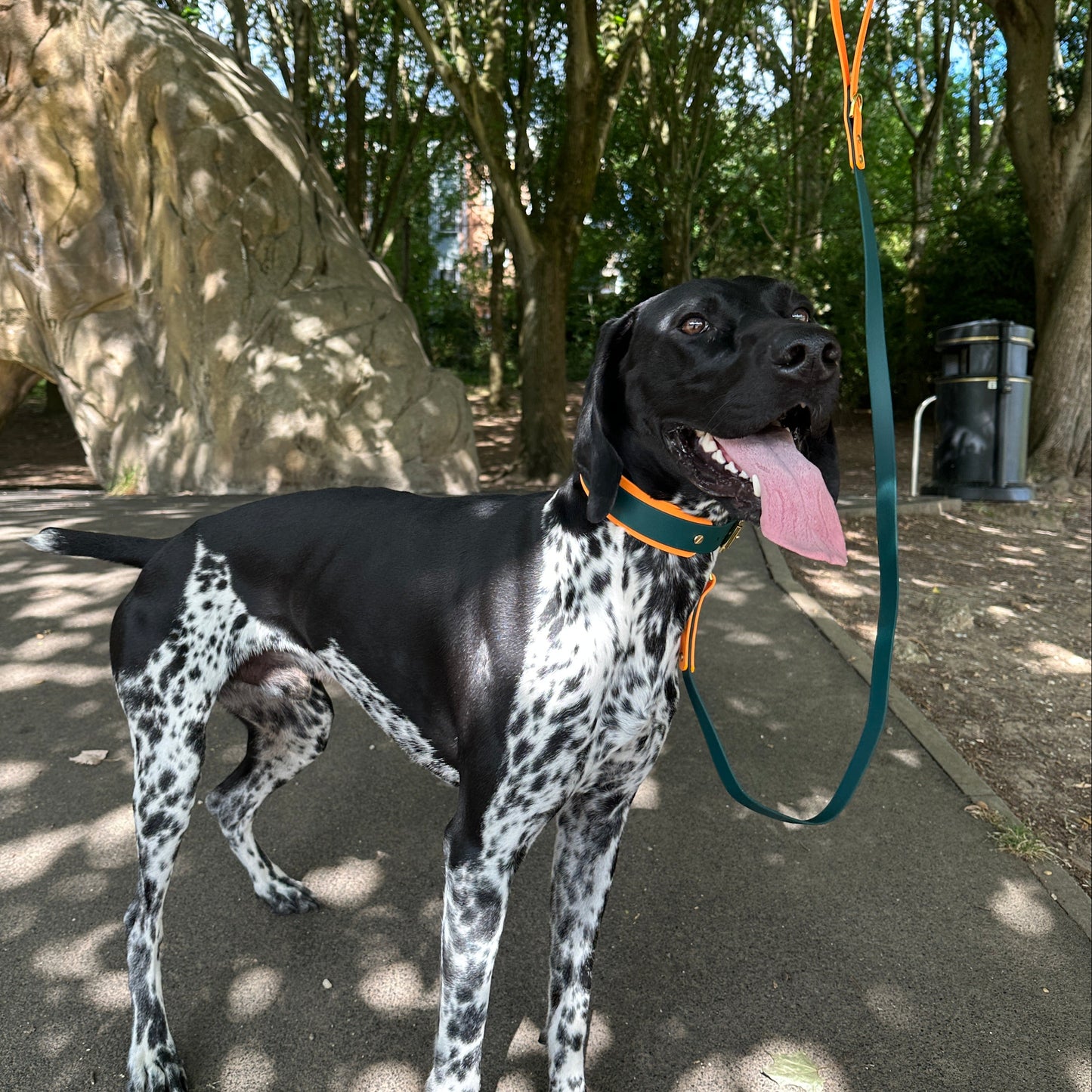 Storm BioThane® Hound Style Collar
