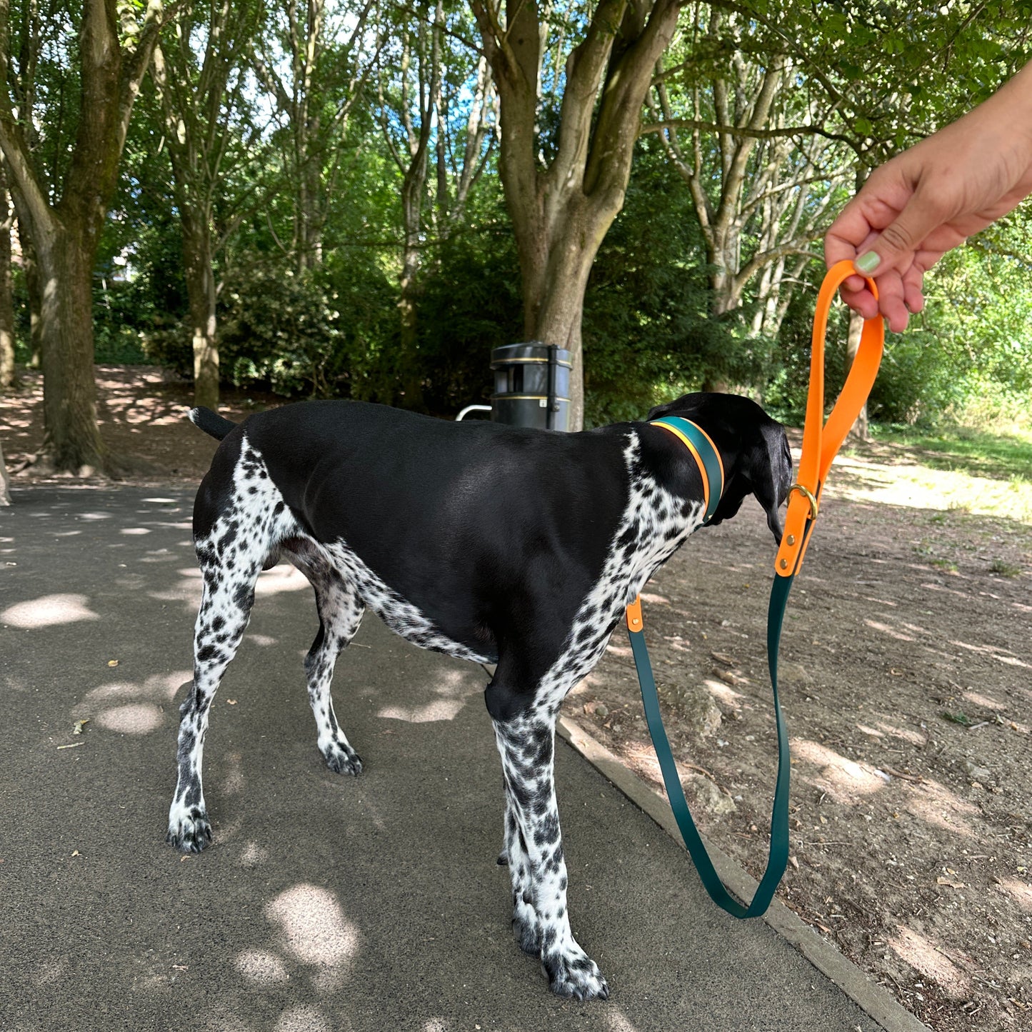 Storm BioThane® Hound Style Collar