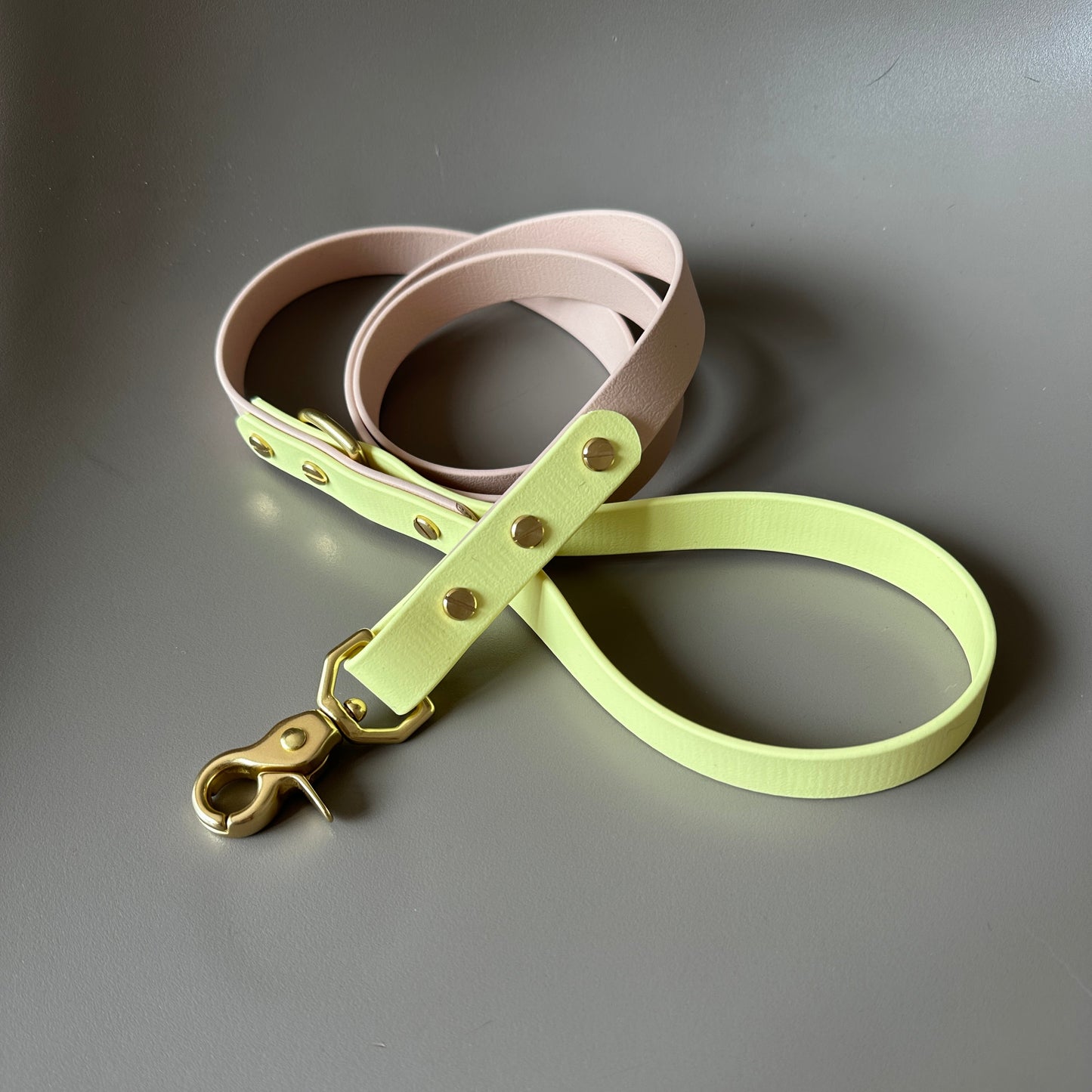 Gerald Colourblock BioThane® Lead