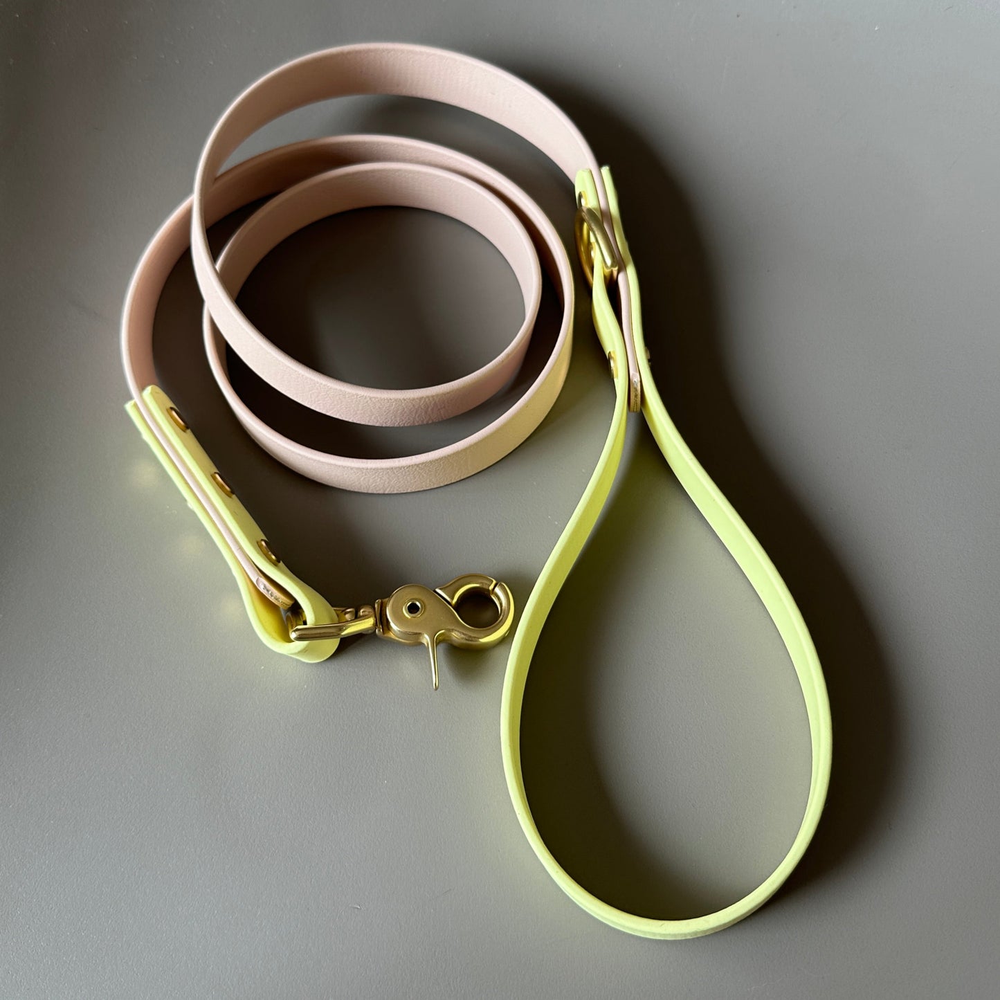 Gerald Colourblock BioThane® Lead
