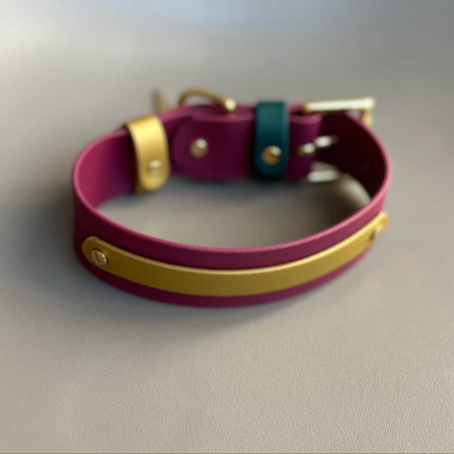 Merlot Wide 38mm BioThane® Collar