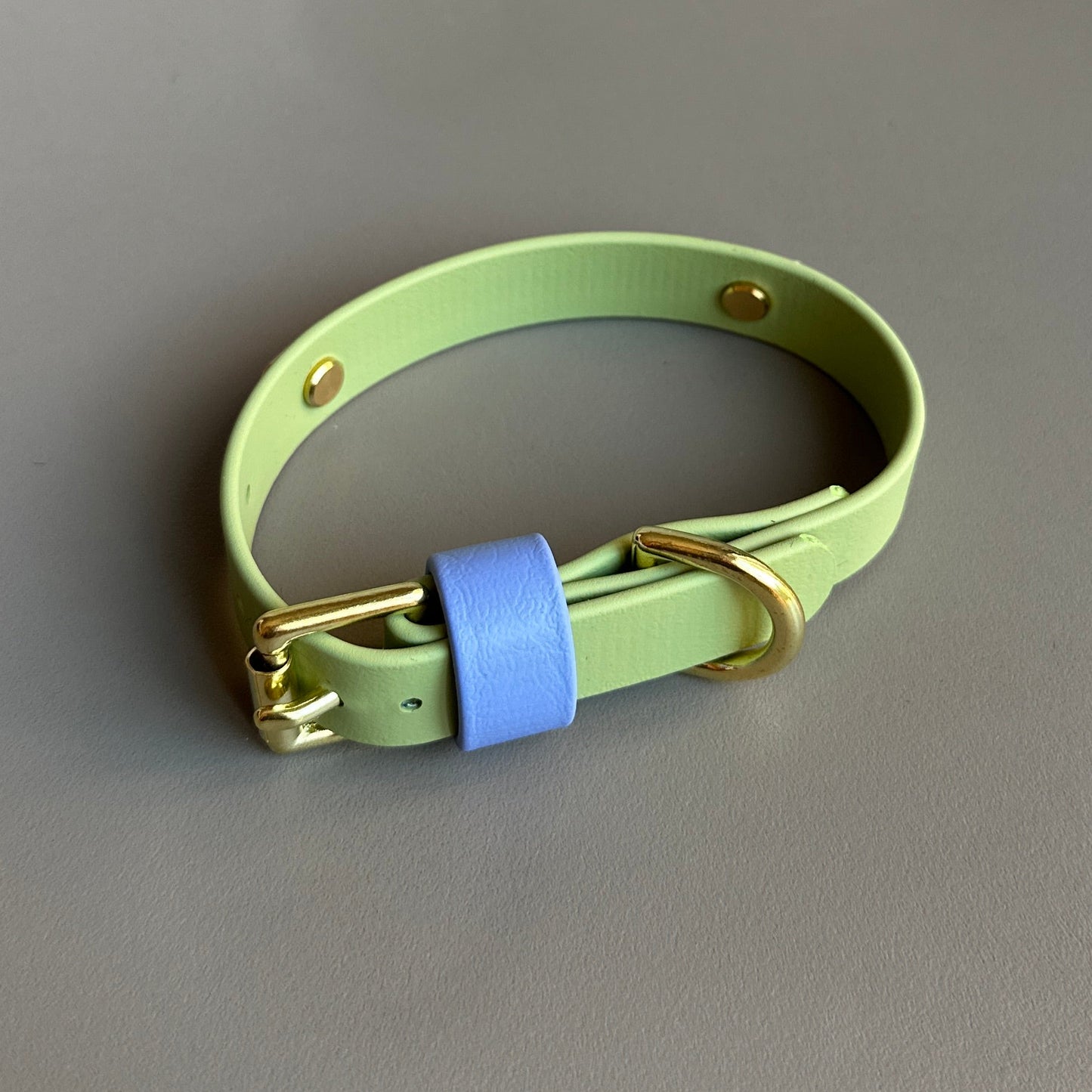 Blueberry Matcha Colourband BioThane® Collar