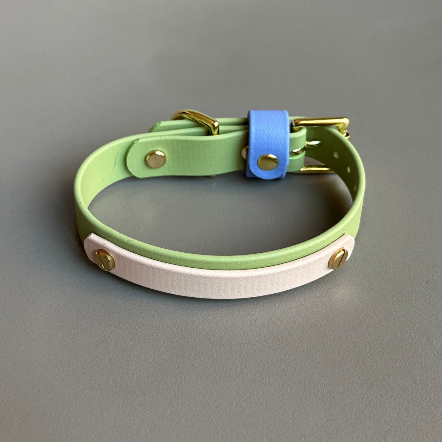 Blueberry Matcha Colourband BioThane® Collar