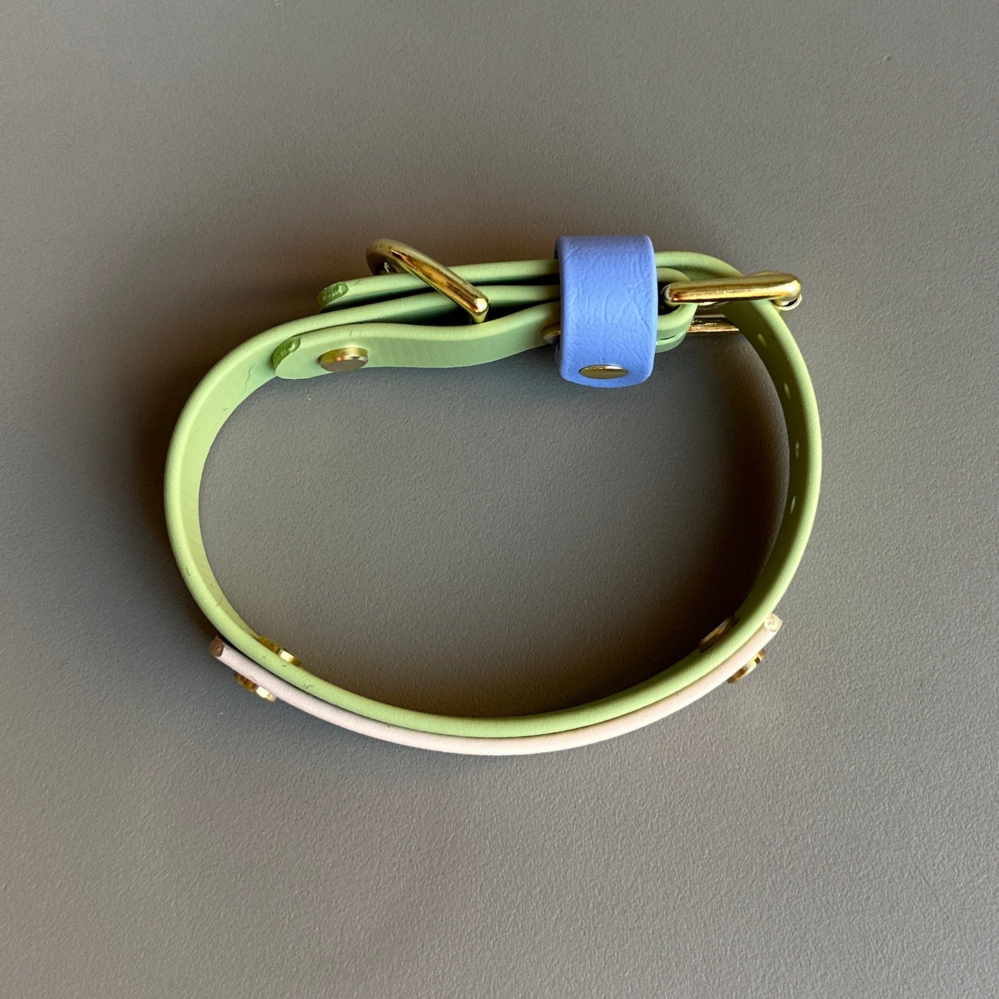 Blueberry Matcha Colourband BioThane® Collar