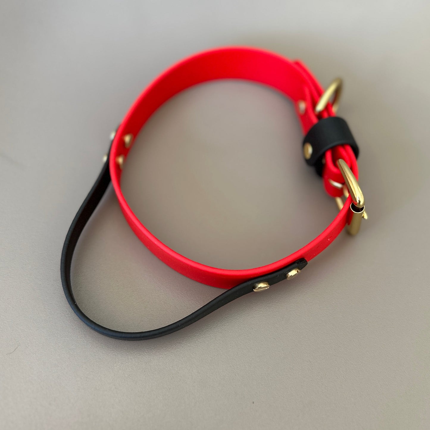 BioThane® Grab Handle Collar